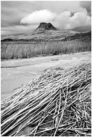 bw341